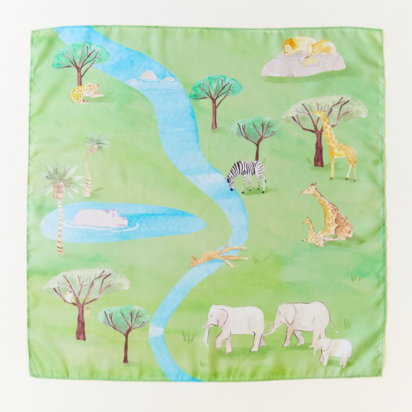 Safari Playmap