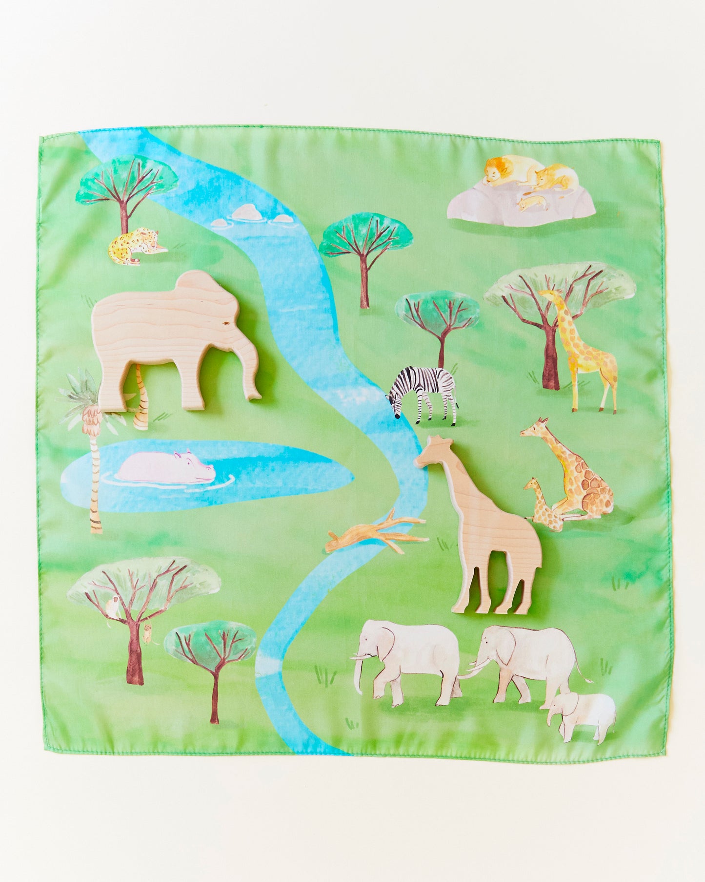Safari Playmap & Animal Set