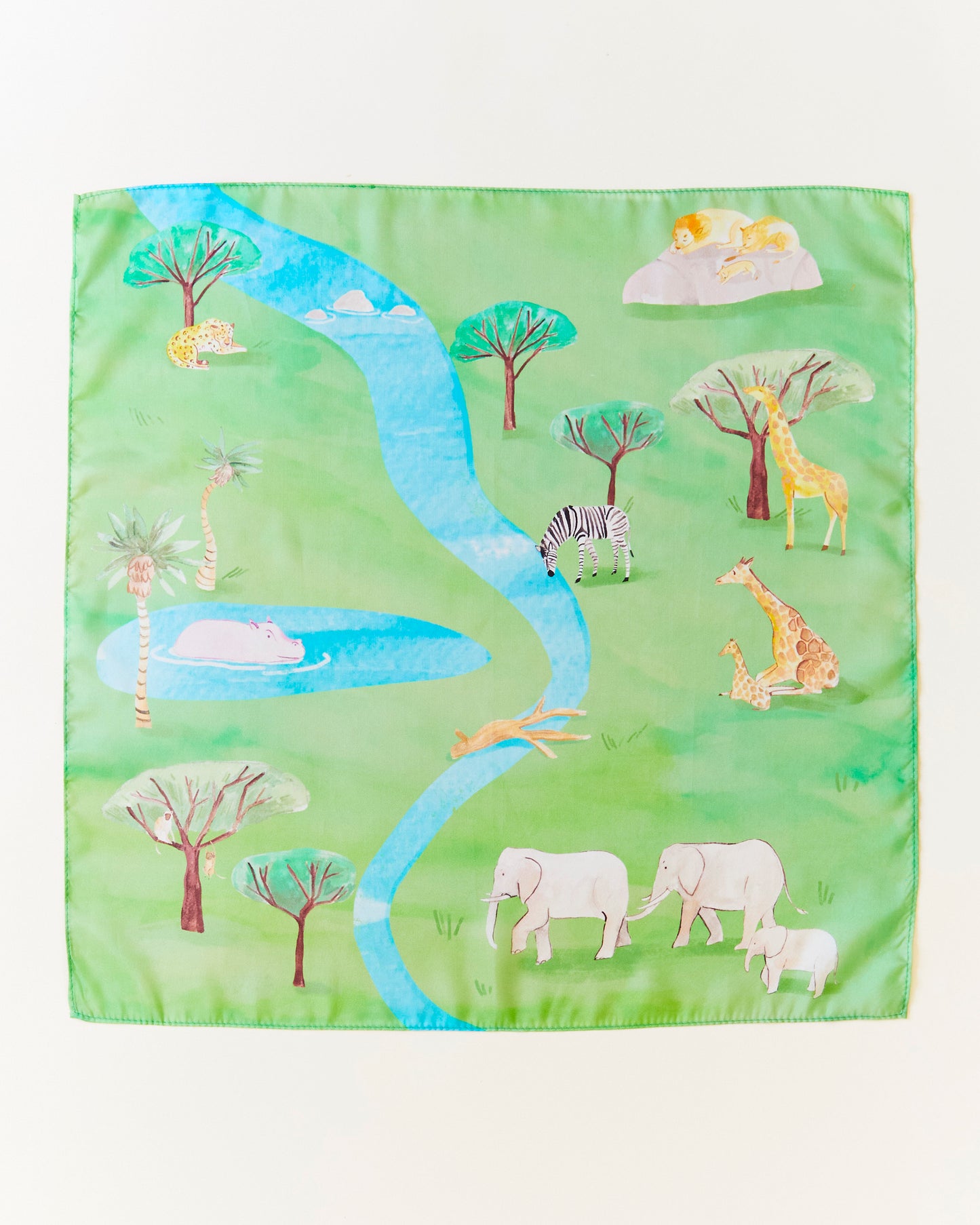Safari Playmap & Animal Set