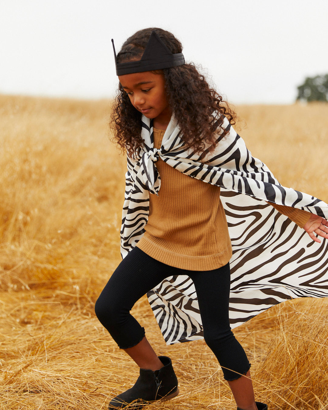 Zebra Playsilk