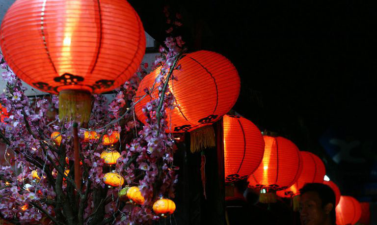 Happy Chinese New Year! Year of the Pig