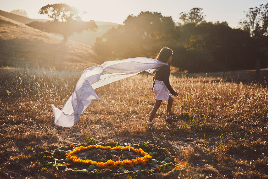 Harvest Mandalas