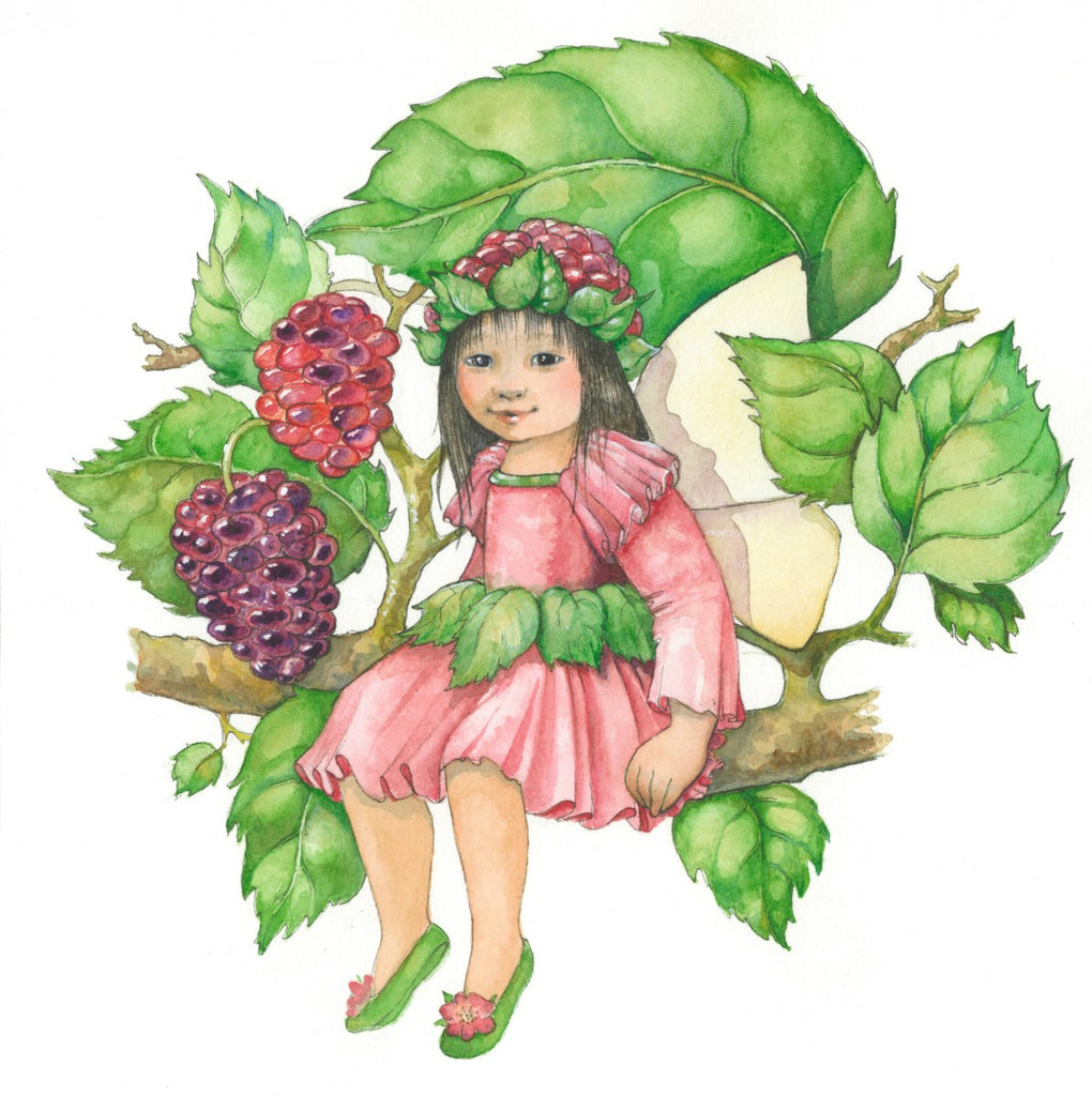 Mulberry Fairy