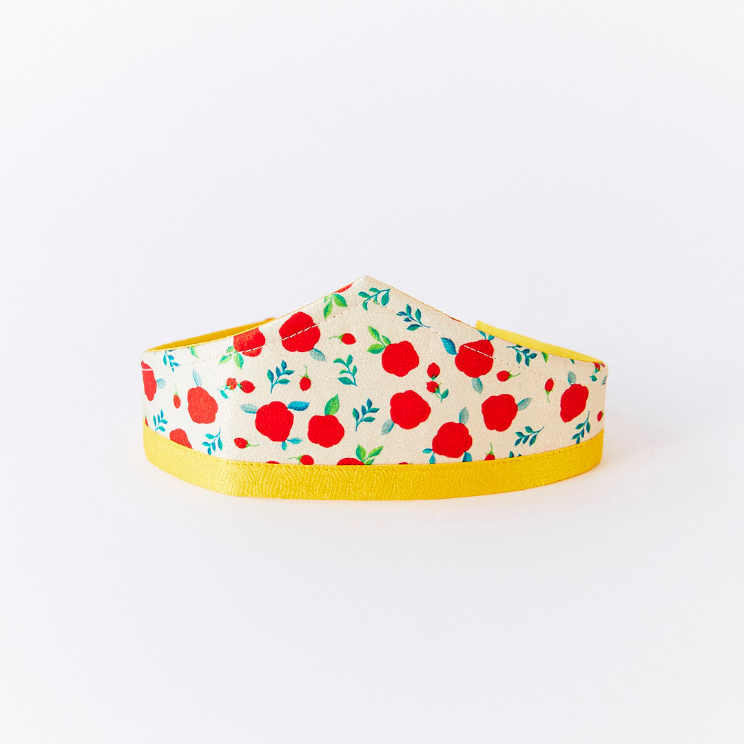 Princess Tiara