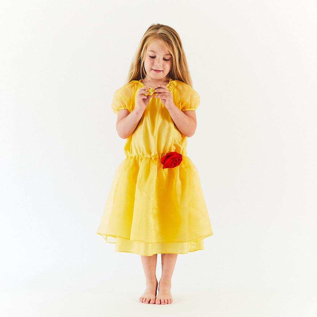 sarah's silks princess dress Sarah's Silks fairy dress