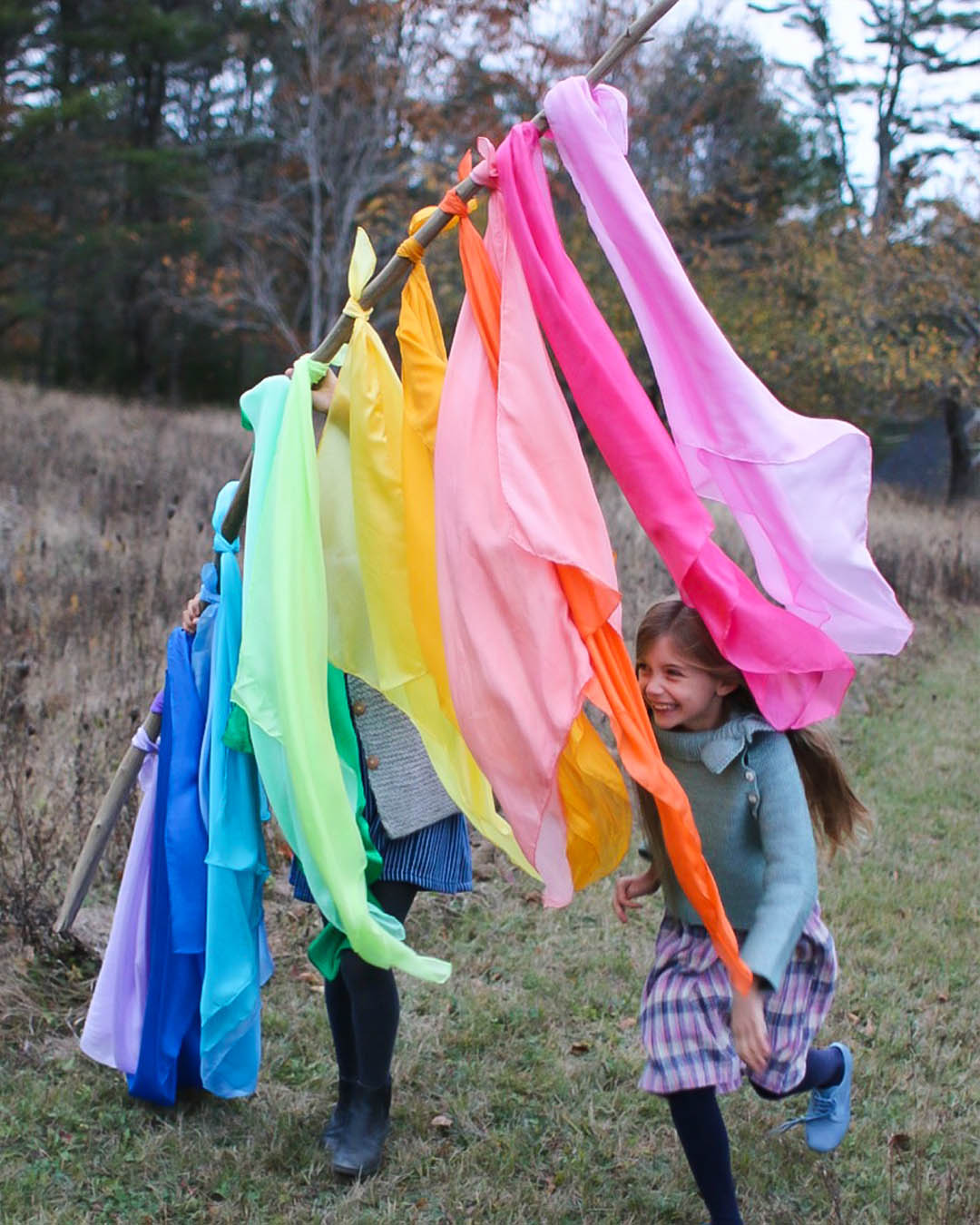 Set of 17 Solid Color Playsilks