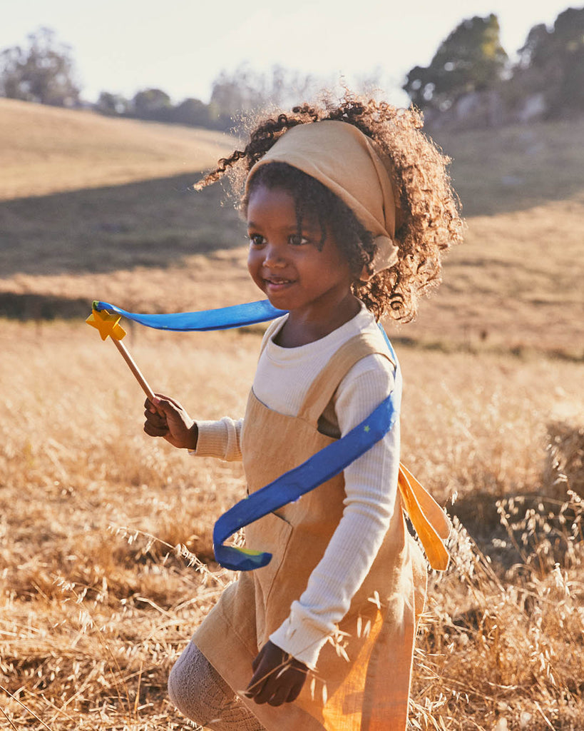 Rainbow Streamers | 8' Multi-Color Kids Outdoor Toy Sarah's Silks